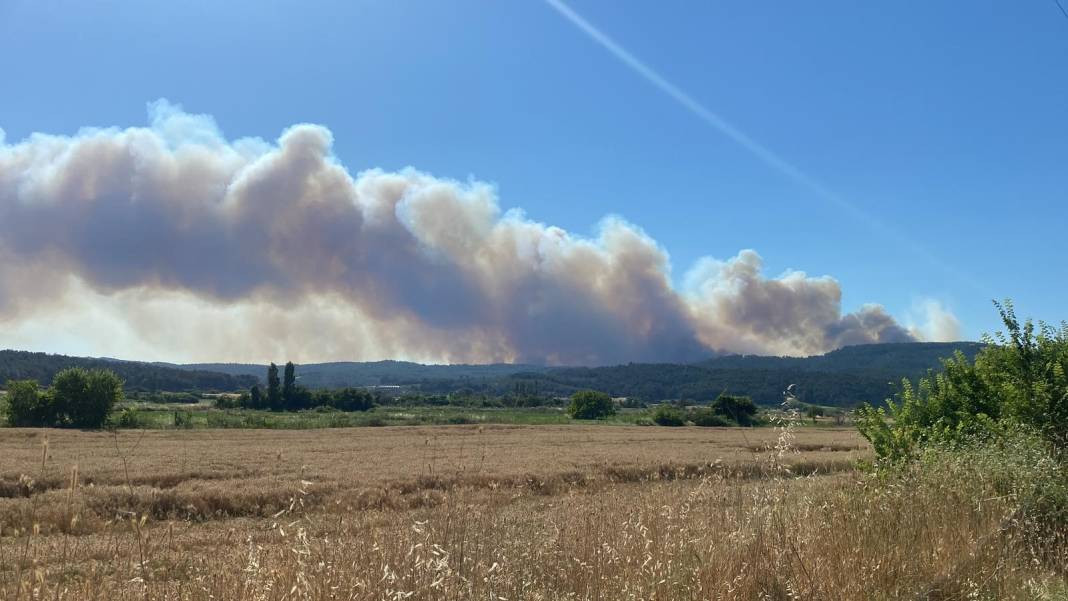 Çanakkale'deki Tarihi Alan'ın güney hattı ziyarete açıldı! Orman yangınında kapatılmıştı - Resim: 20